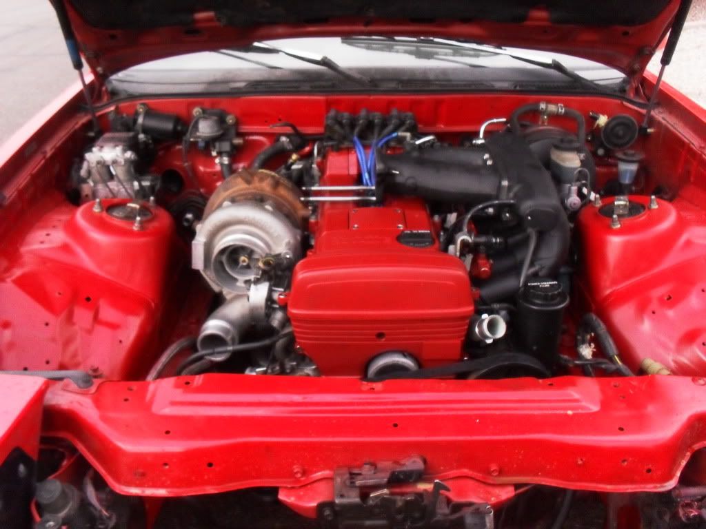 p1460292_1.jpg