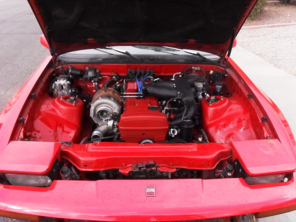 p1460292_2.jpg