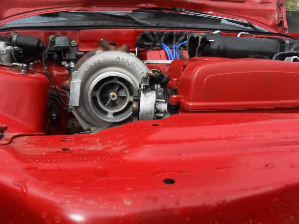 p1460292_4.jpg