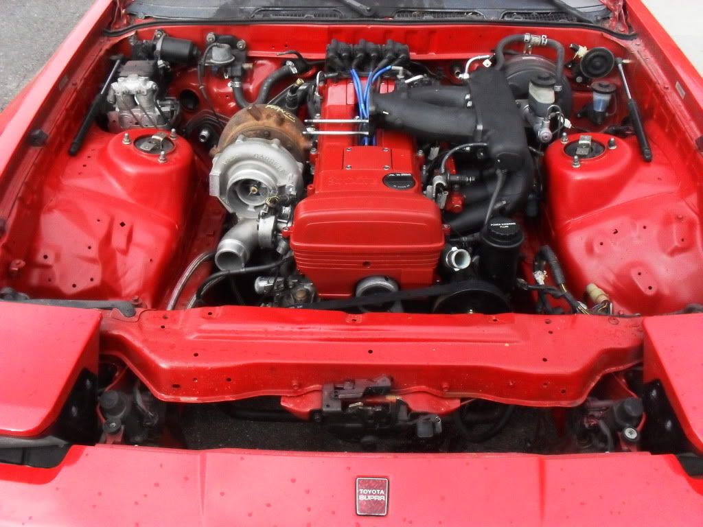 p1460292_5.jpg