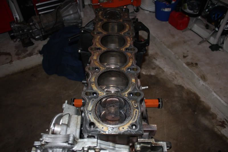 p1466041_4.jpg