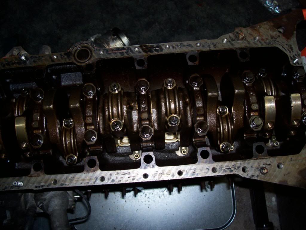 p1469410_1.jpg