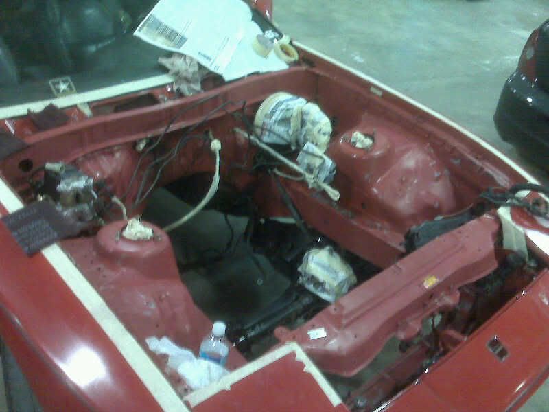 p1480443_1.jpg