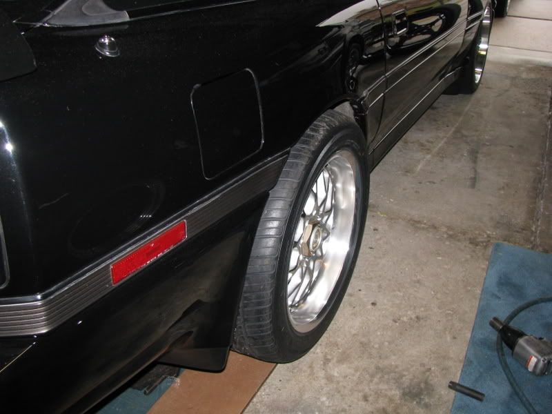 p1487485_1.jpg