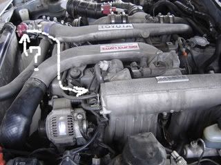 p1493361_3.jpg