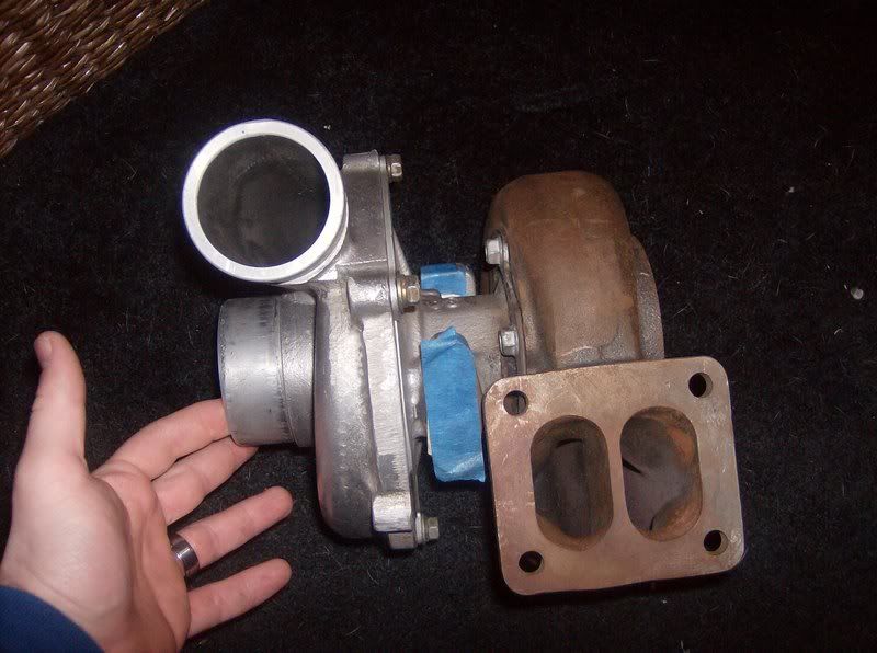 p1495304_1.jpg