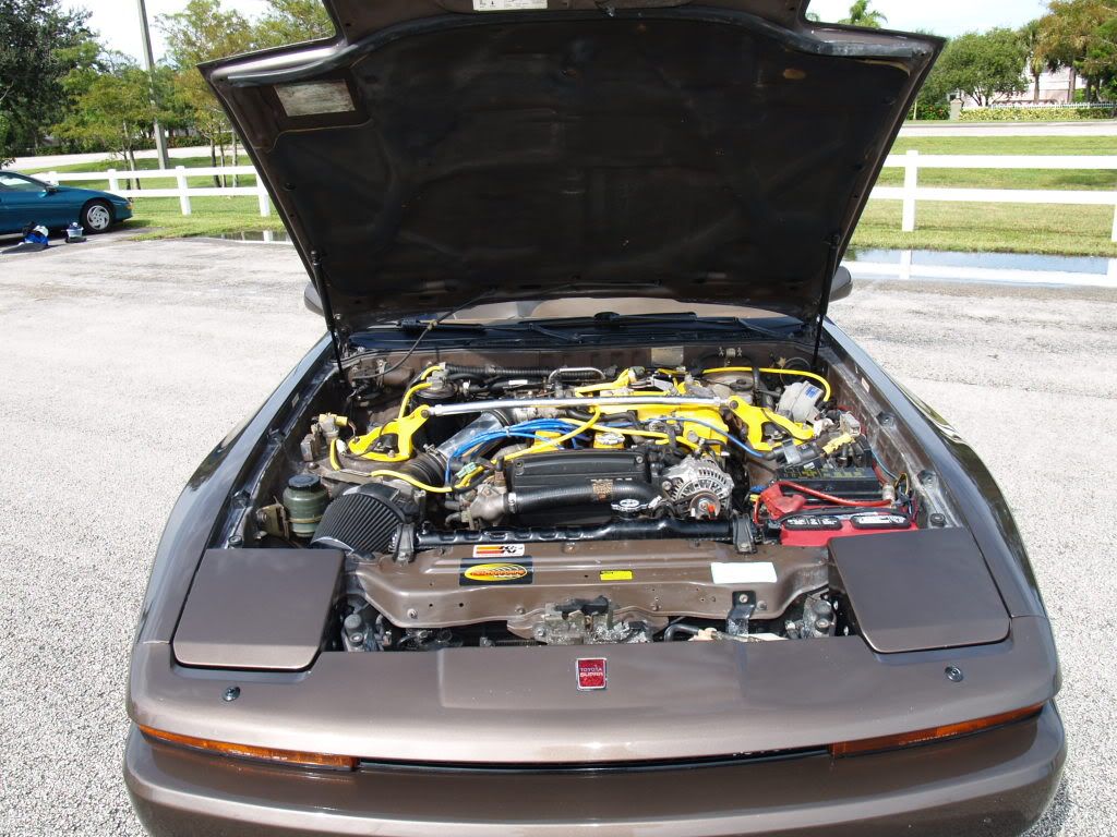 p1496623_3.jpg