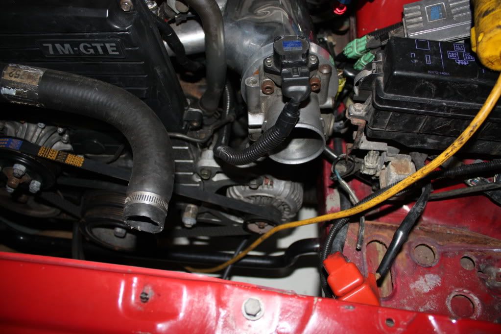 p1497547_3.jpg