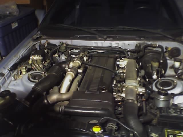 p149901_5.jpg