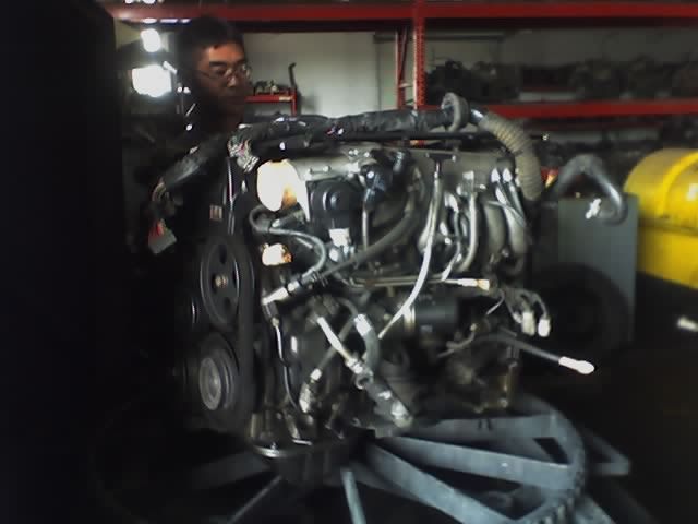 p150351_1.jpg