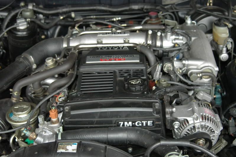 p1509710_3.jpg