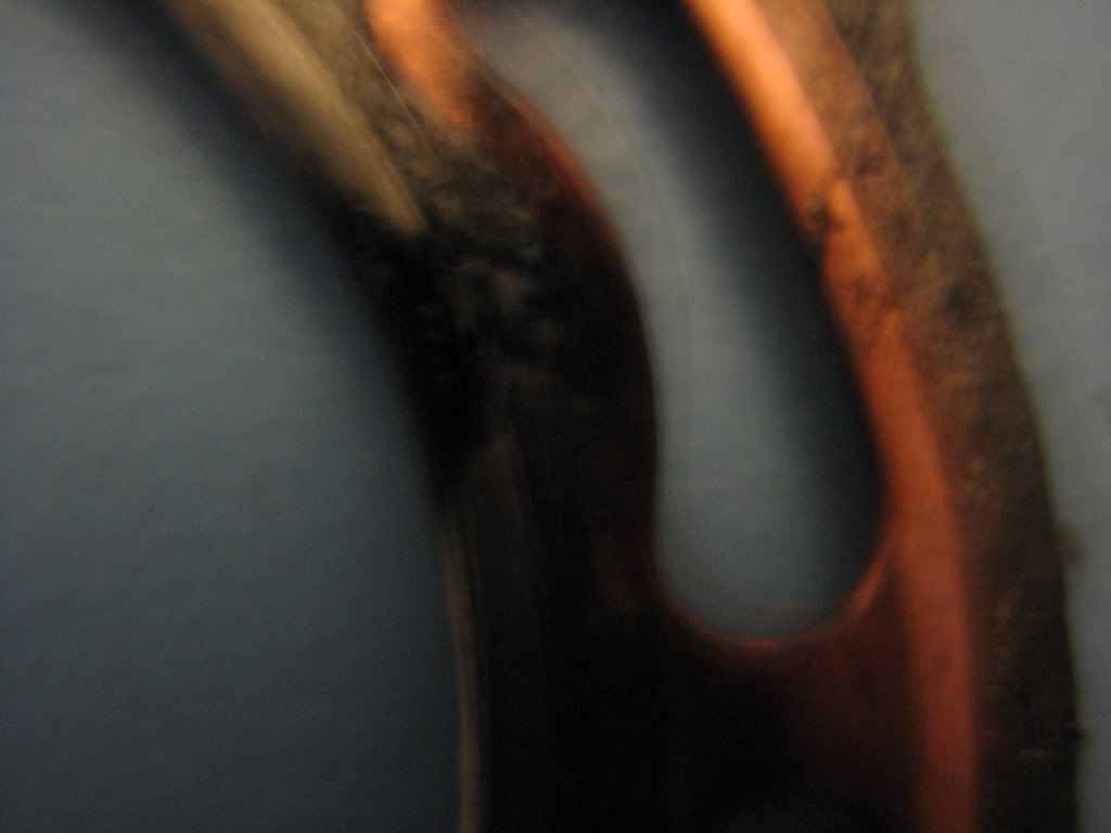 p1511525_12.jpg