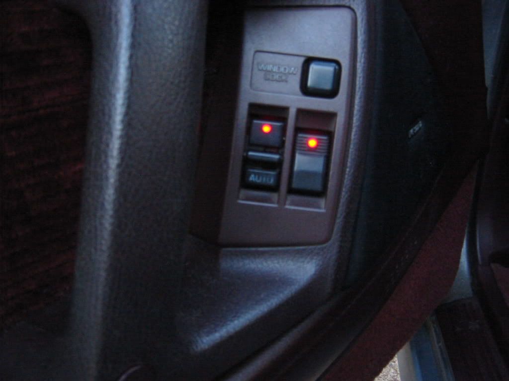 p1517228_3.jpg