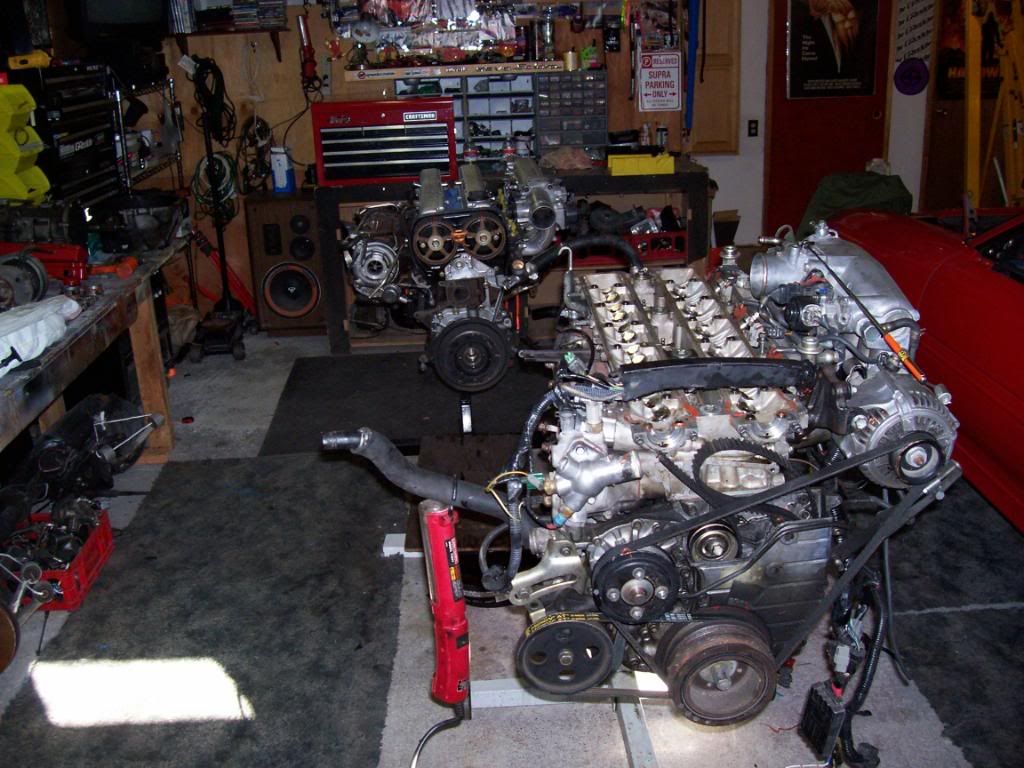 p1517659_3.jpg