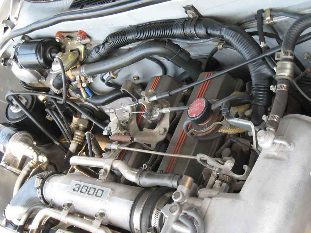 p1526269_1.jpg