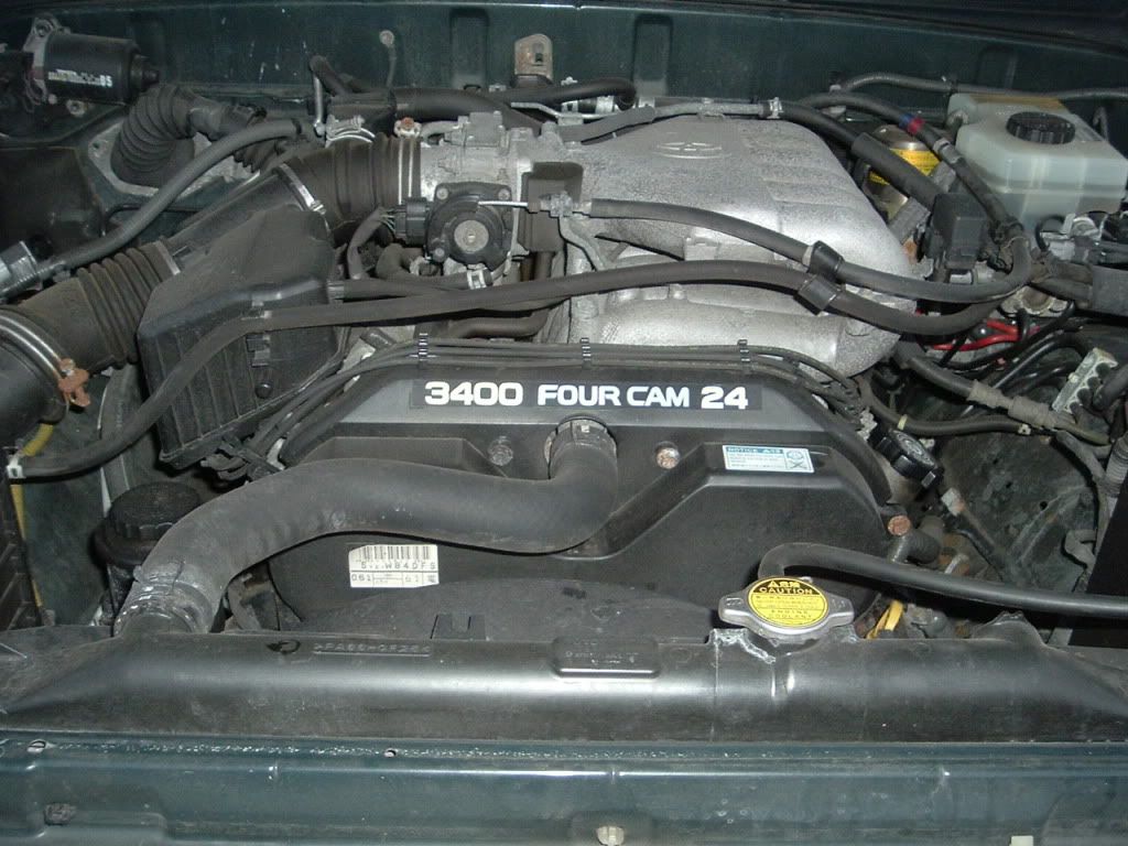 p1526287_3.jpg