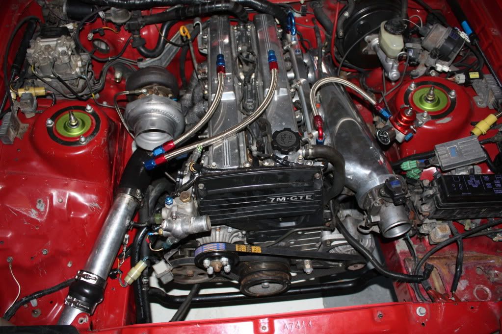p1526883_2.jpg