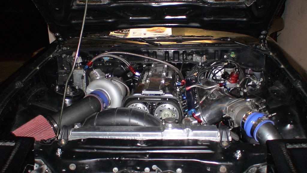 p1527037_2.jpg