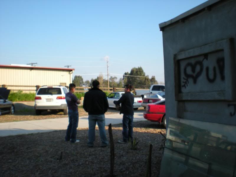 p1527157_5.jpg