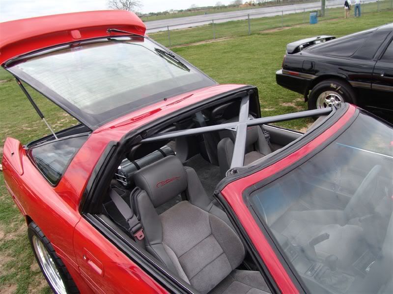 p1528056_3.jpg