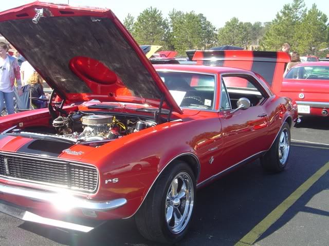 p1528163_1.jpg