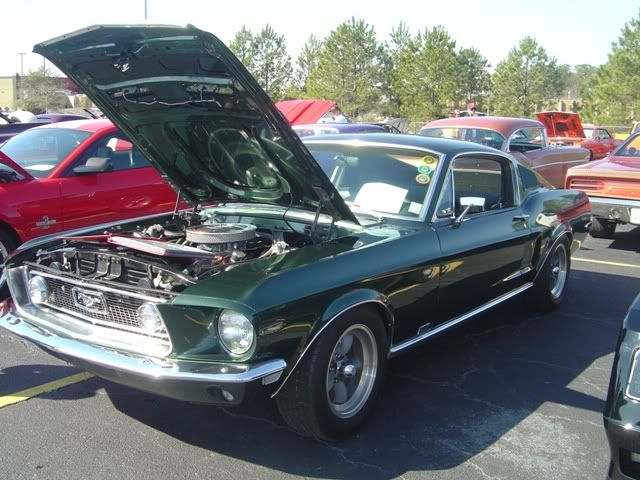p1528163_10.jpg
