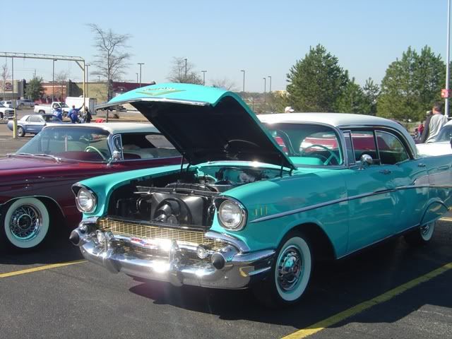p1528163_3.jpg