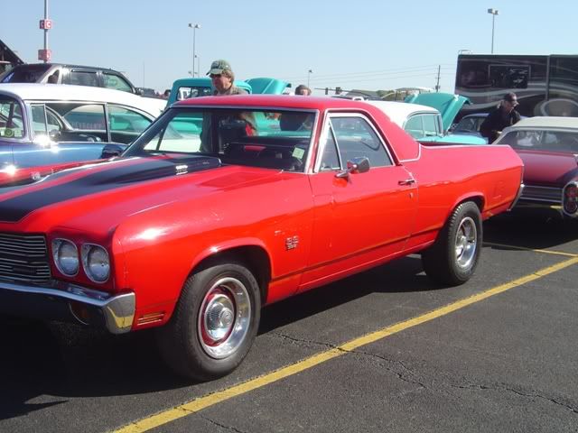 p1528163_4.jpg