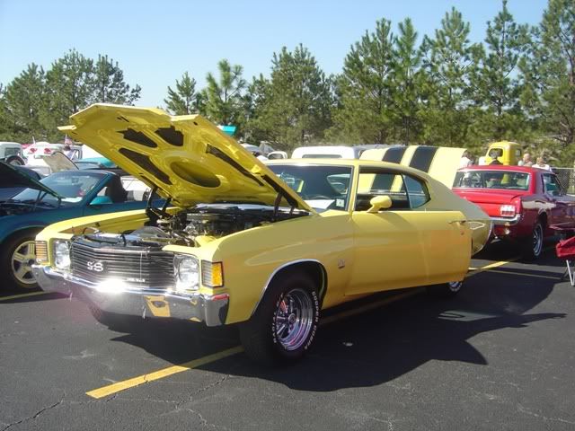 p1528163_7.jpg