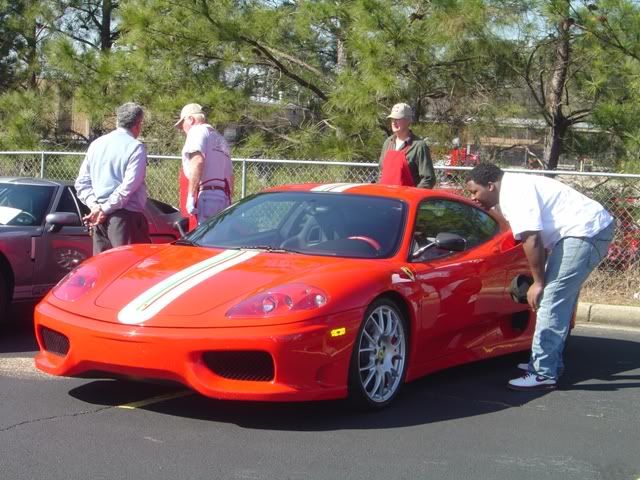 p1528163_8.jpg