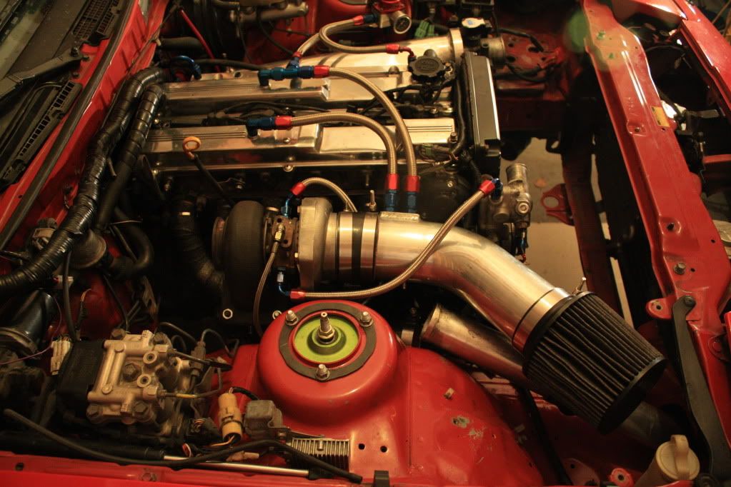 p1528792_2.jpg