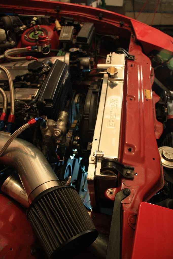 p1529411_2.jpg