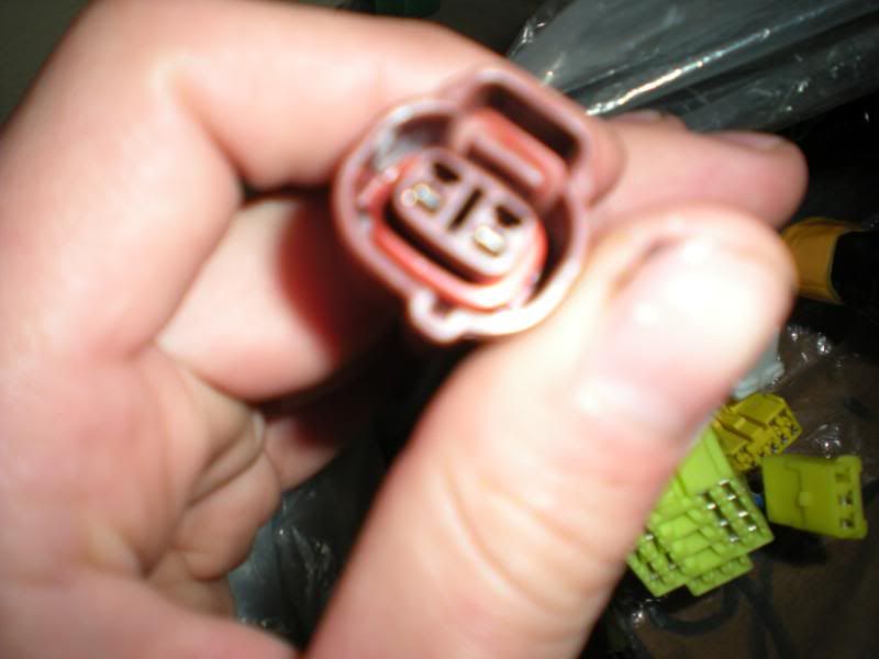 p1529732_2.jpg