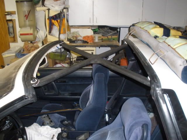 p1530347_2.jpg
