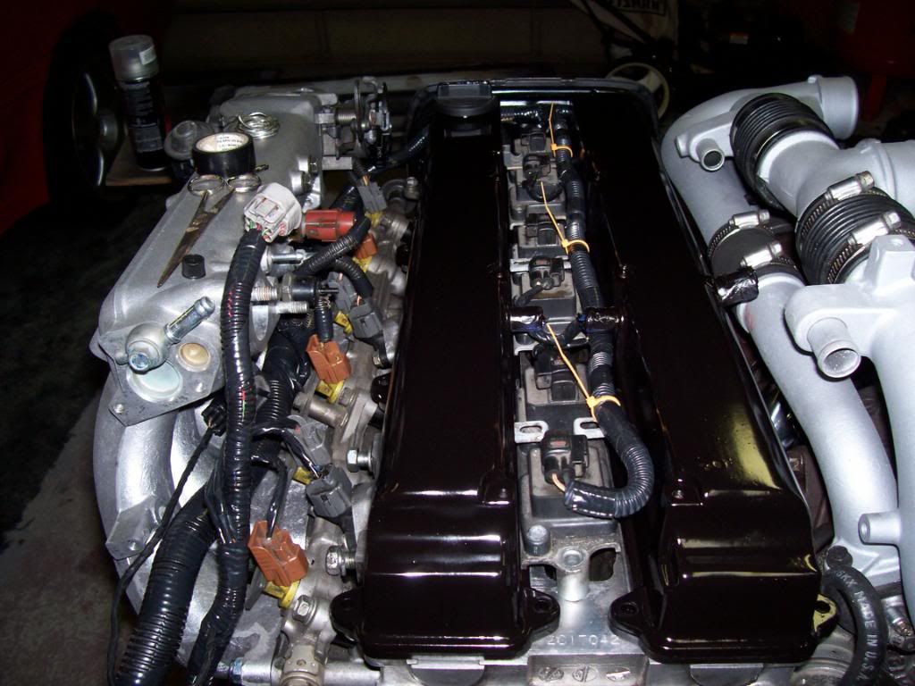 p1533983_7.jpg