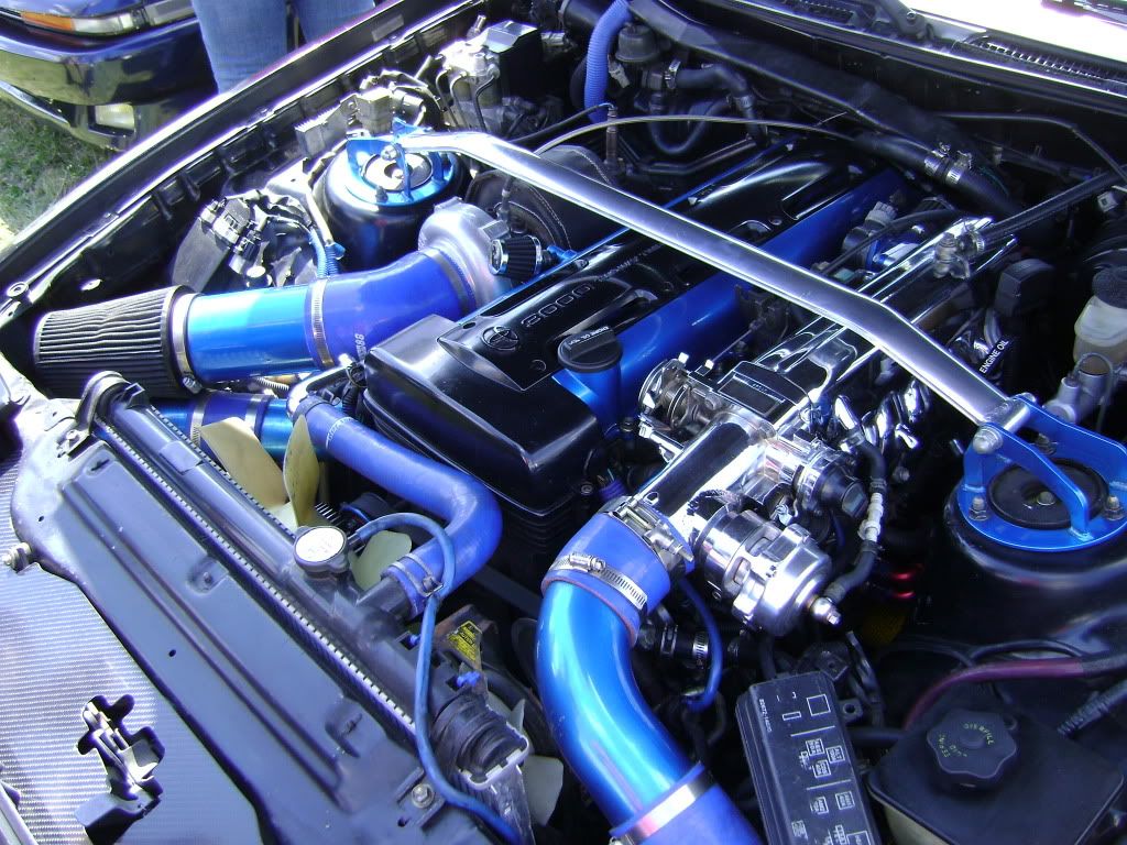 p1534862_2.jpg