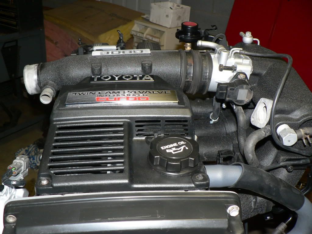 p1541024_1.jpg