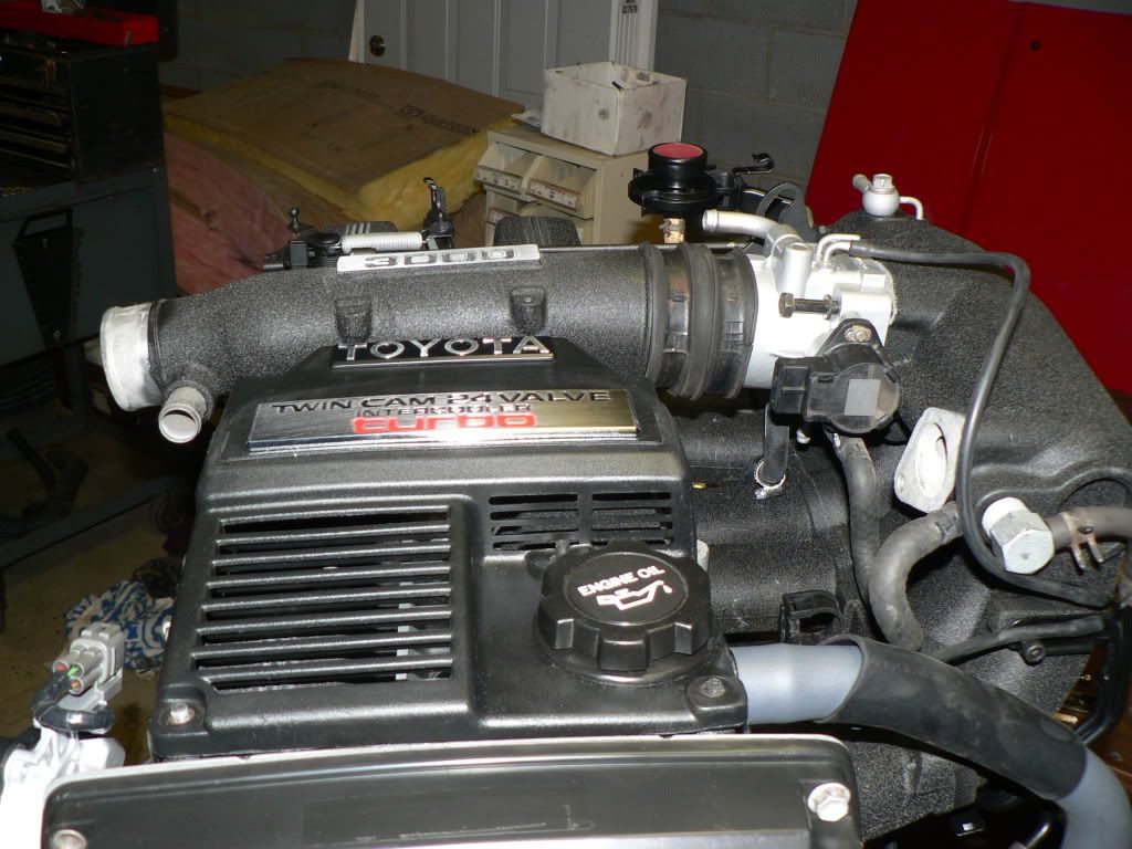 p1541024_2.jpg