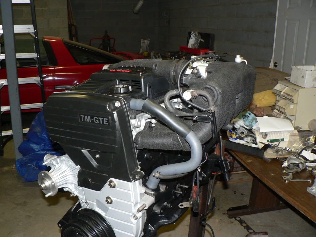 p1541024_3.jpg