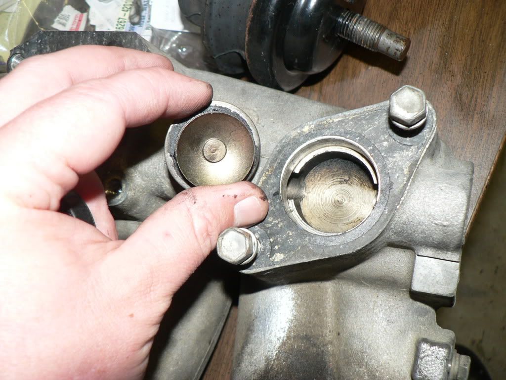 p1541024_5.jpg