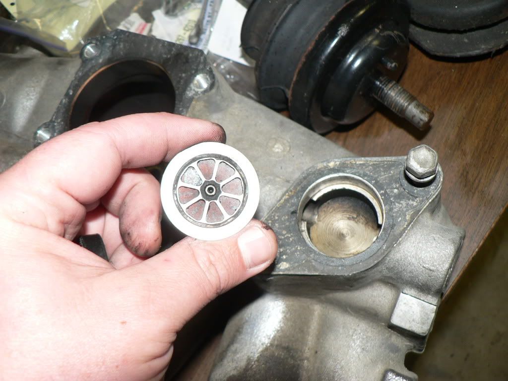 p1541033_1.jpg