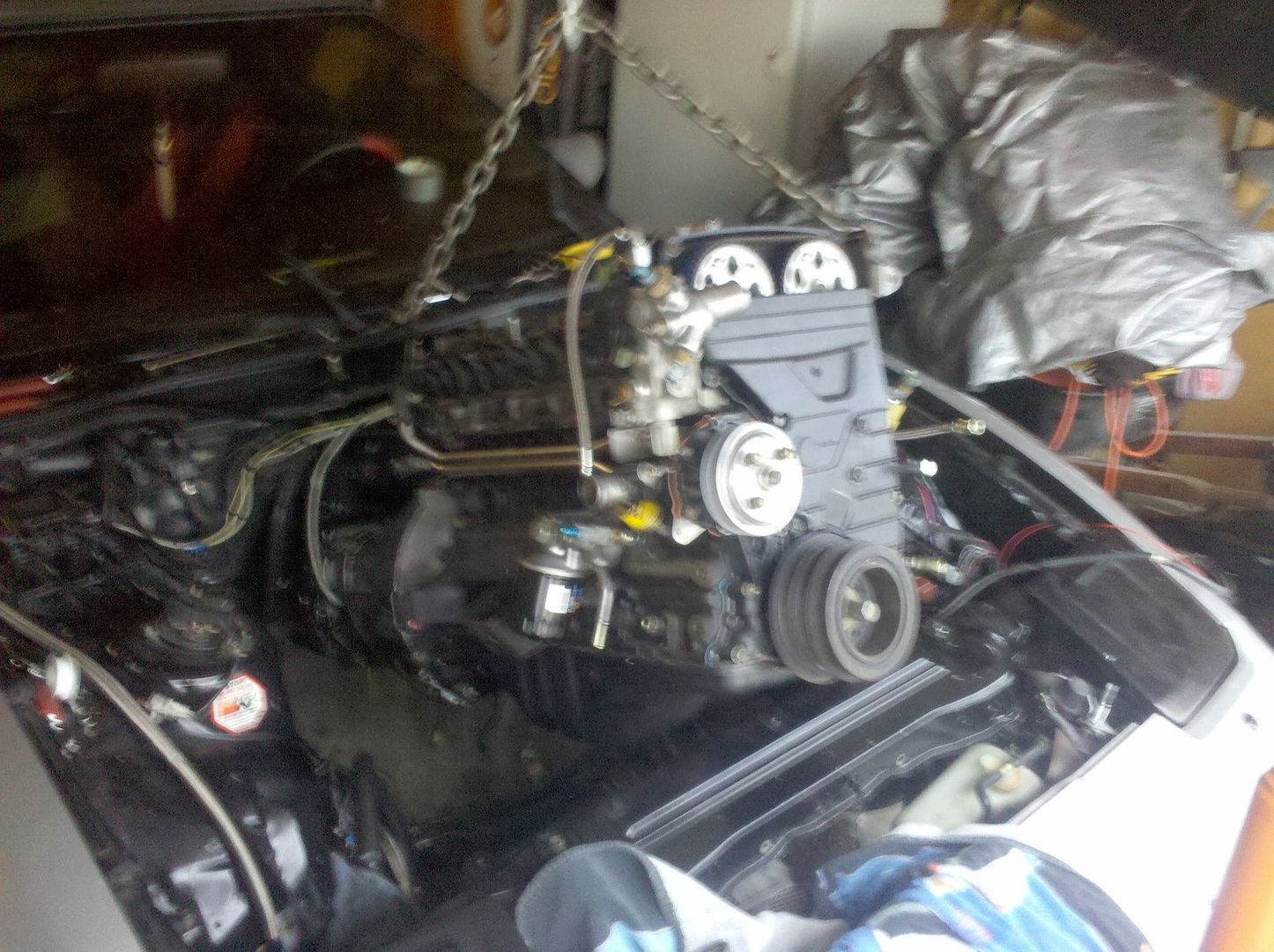 p1541533_1.jpg