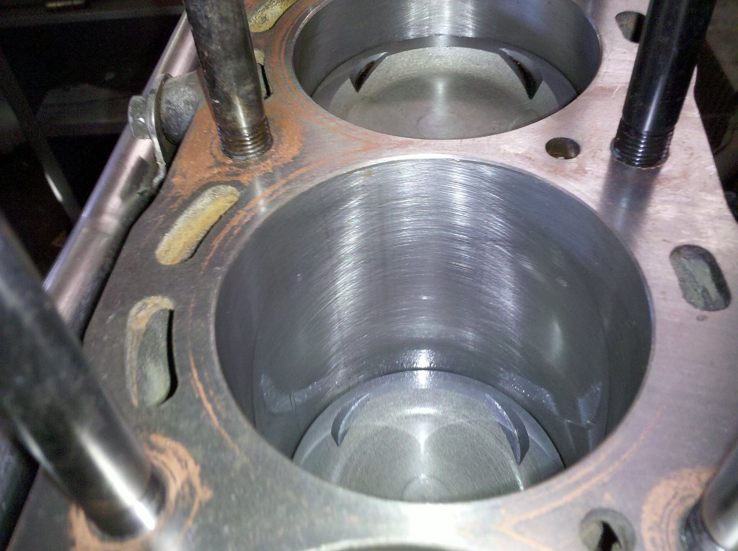 p1541702_3.jpg