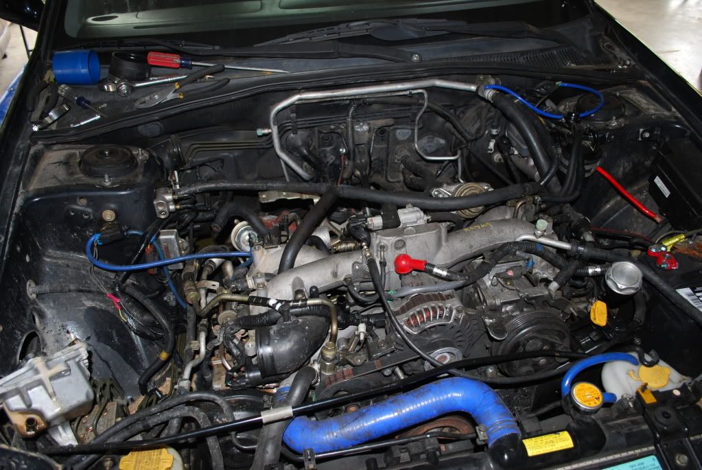 p1543021_1.jpg