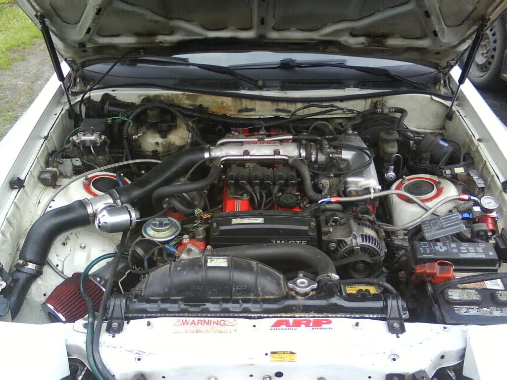 p1546409_6.jpg