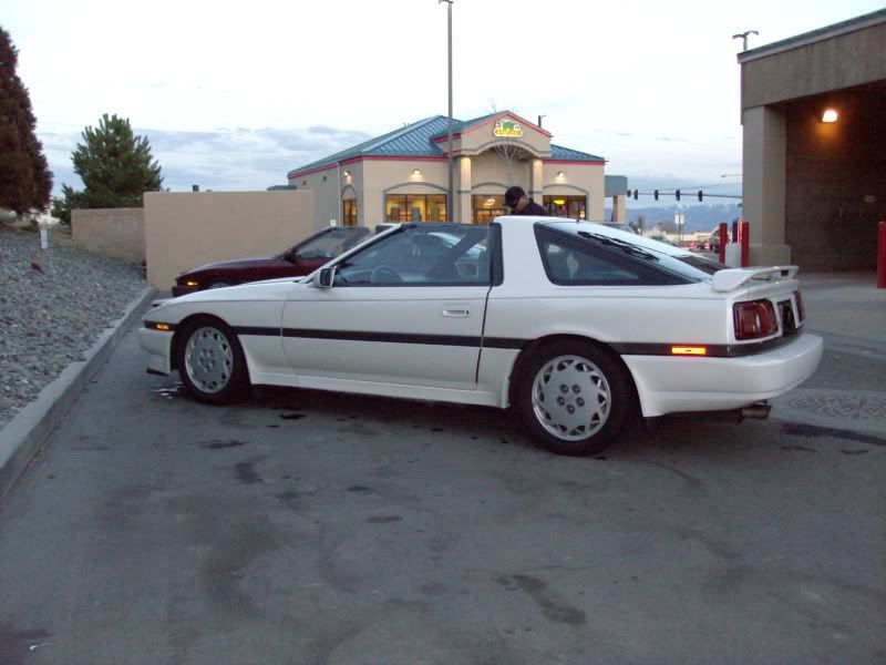 p1551442_2.jpg
