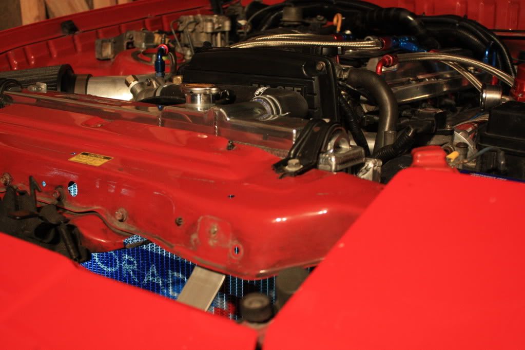 p1554219_9.jpg