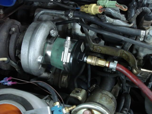 p1554320_1.jpg