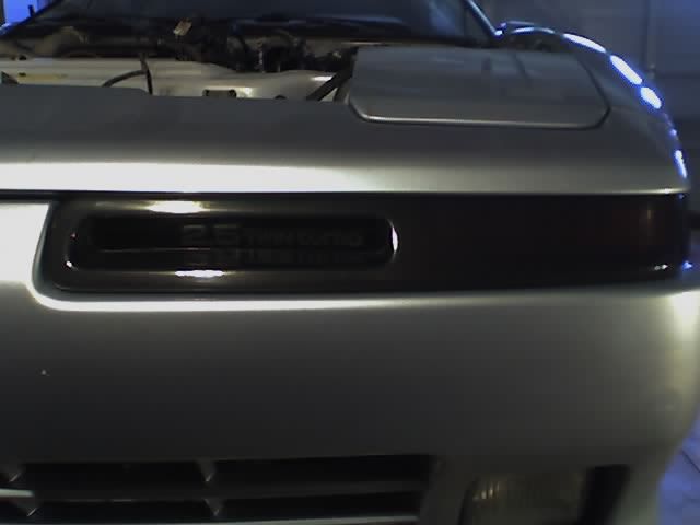 p155454_2.jpg