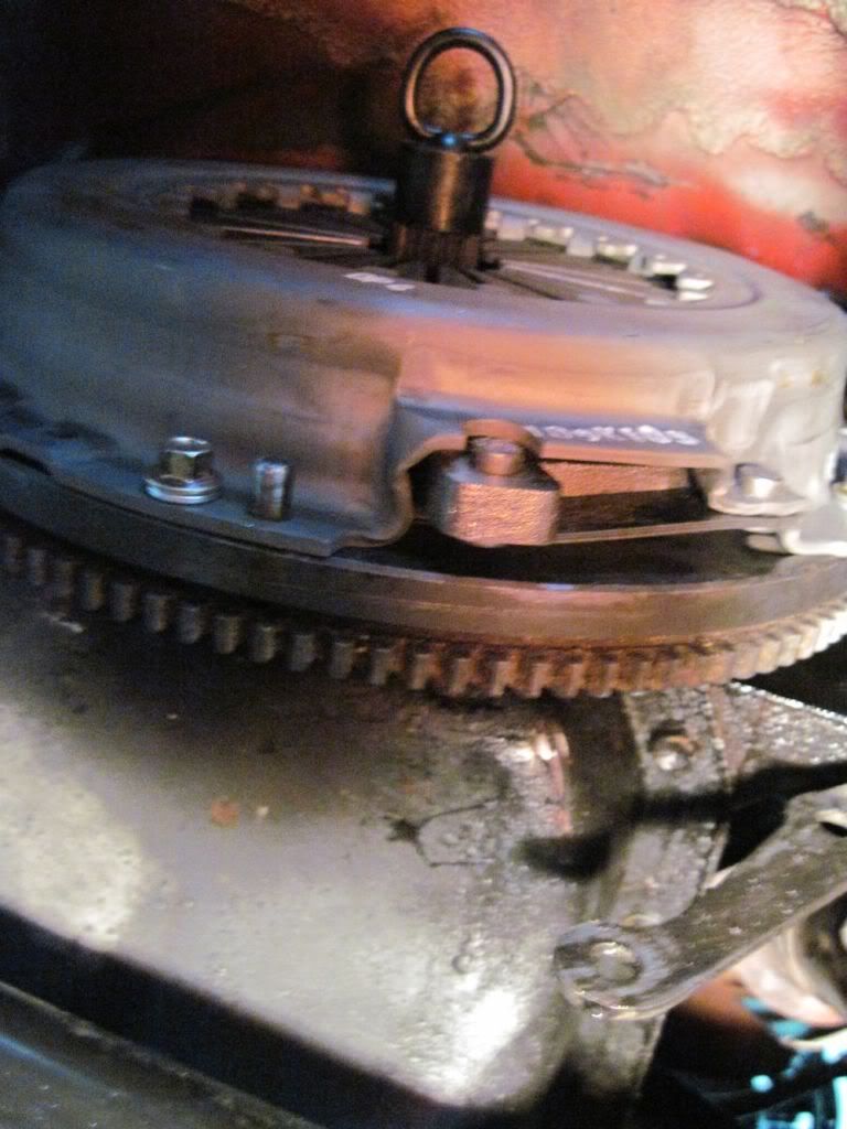 p1554793_33.jpg